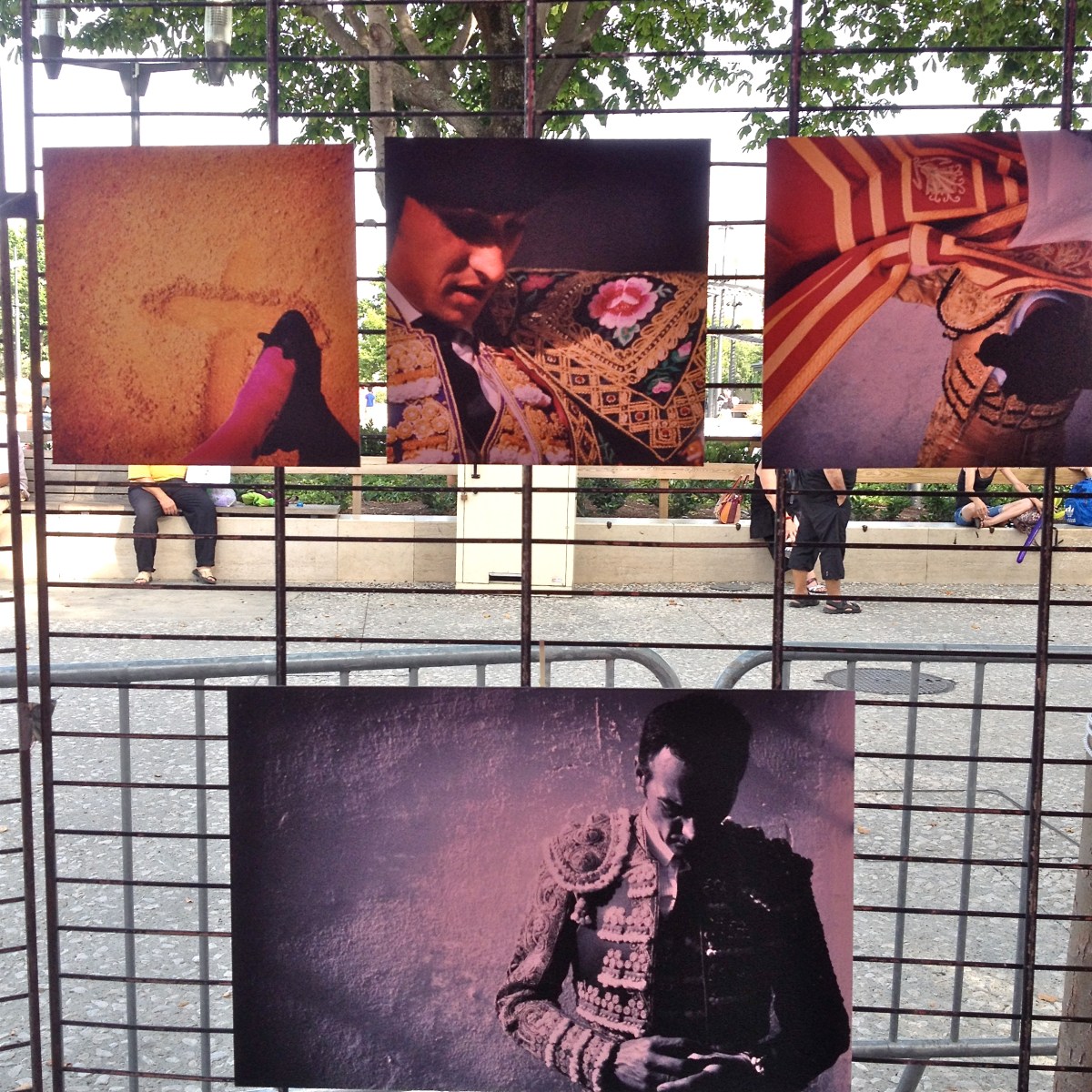 Expo photos de Laure Crespy