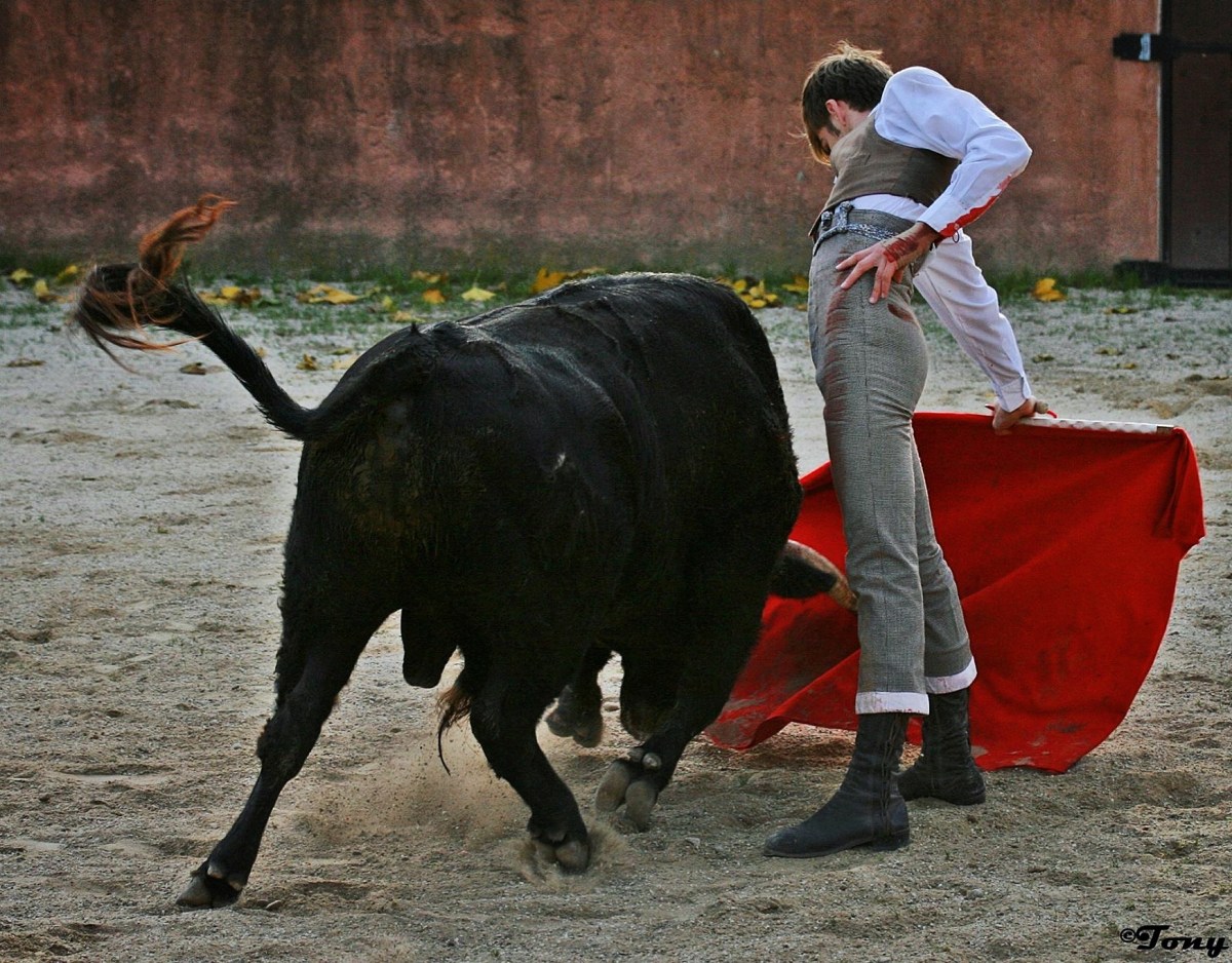 Andy Younes Ganaderia San Sebastian
