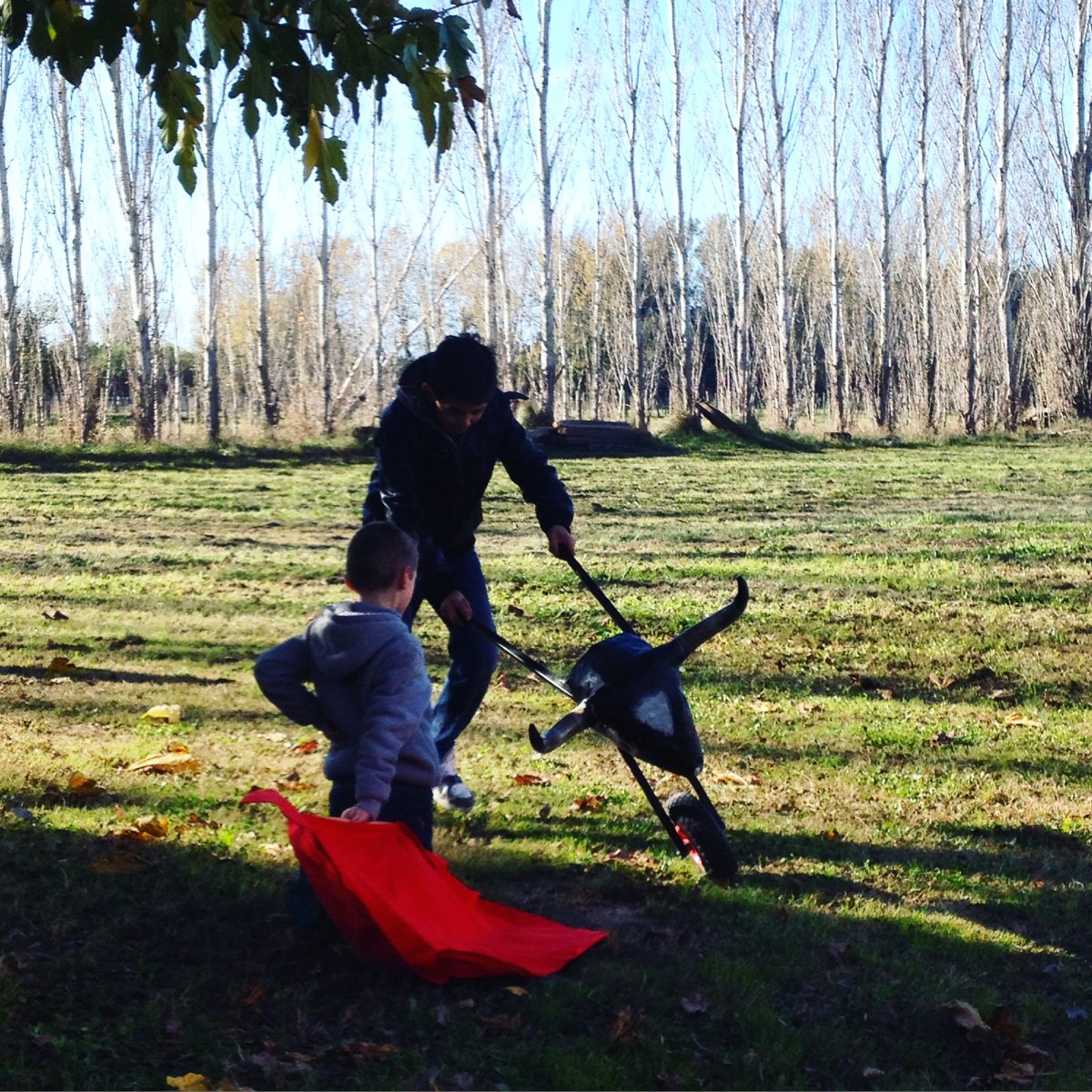 Corrida a campo abierto