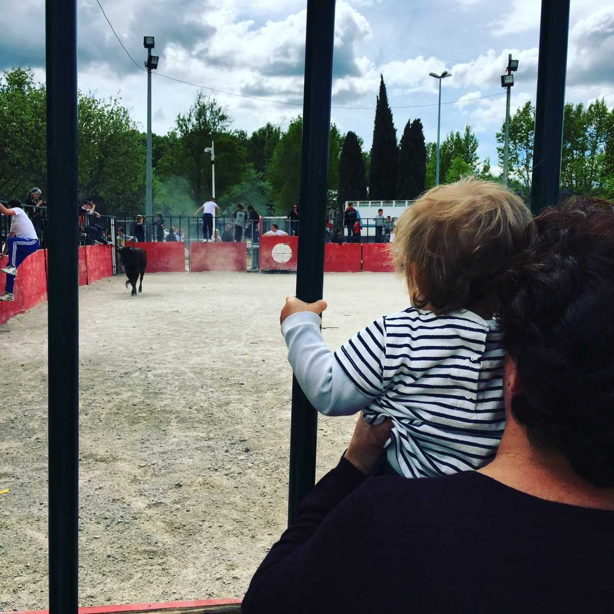 Découvrir la tauromachie