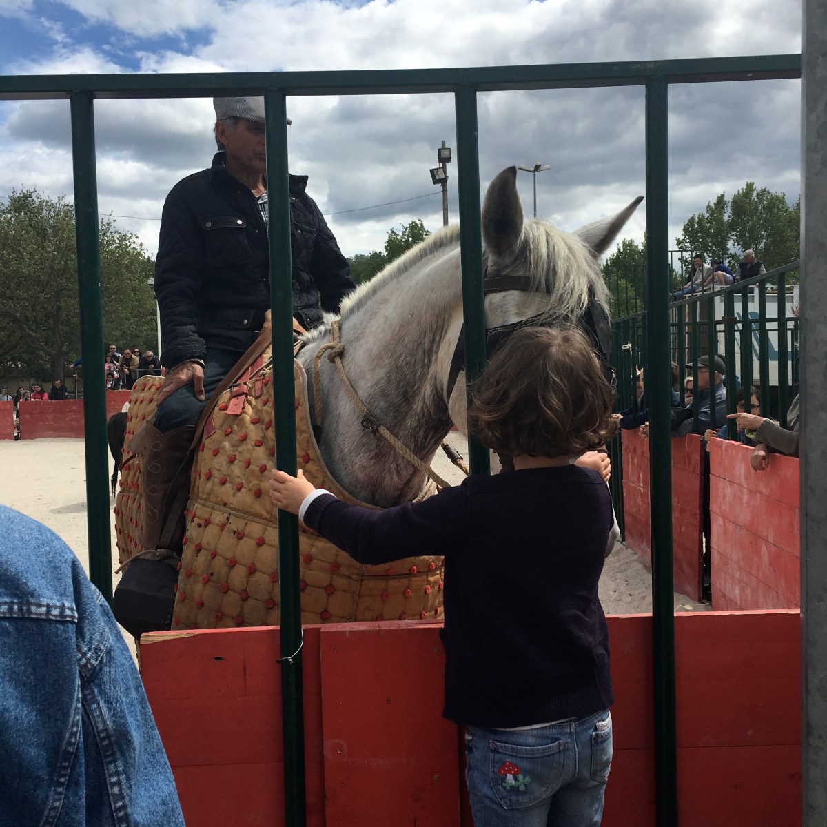 Admiration, Alain Bonijol