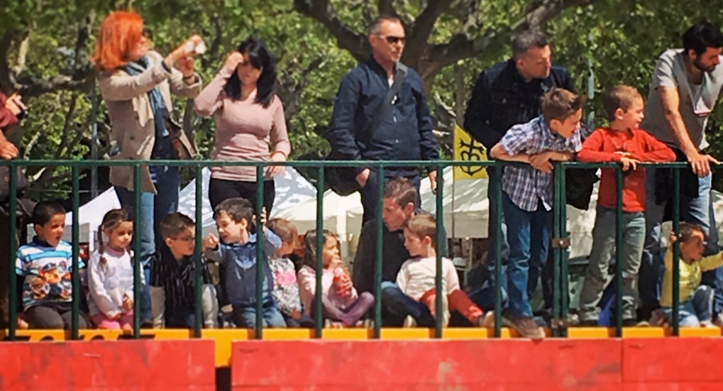 L'avenir de la tauromachie