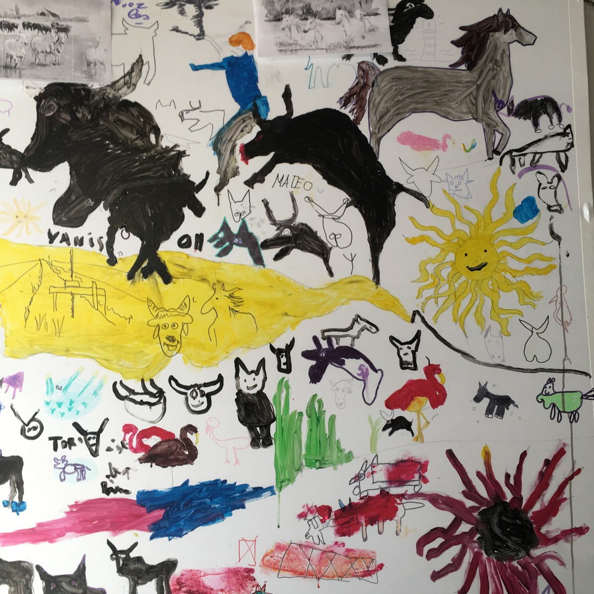 Corrida et course camarguaise