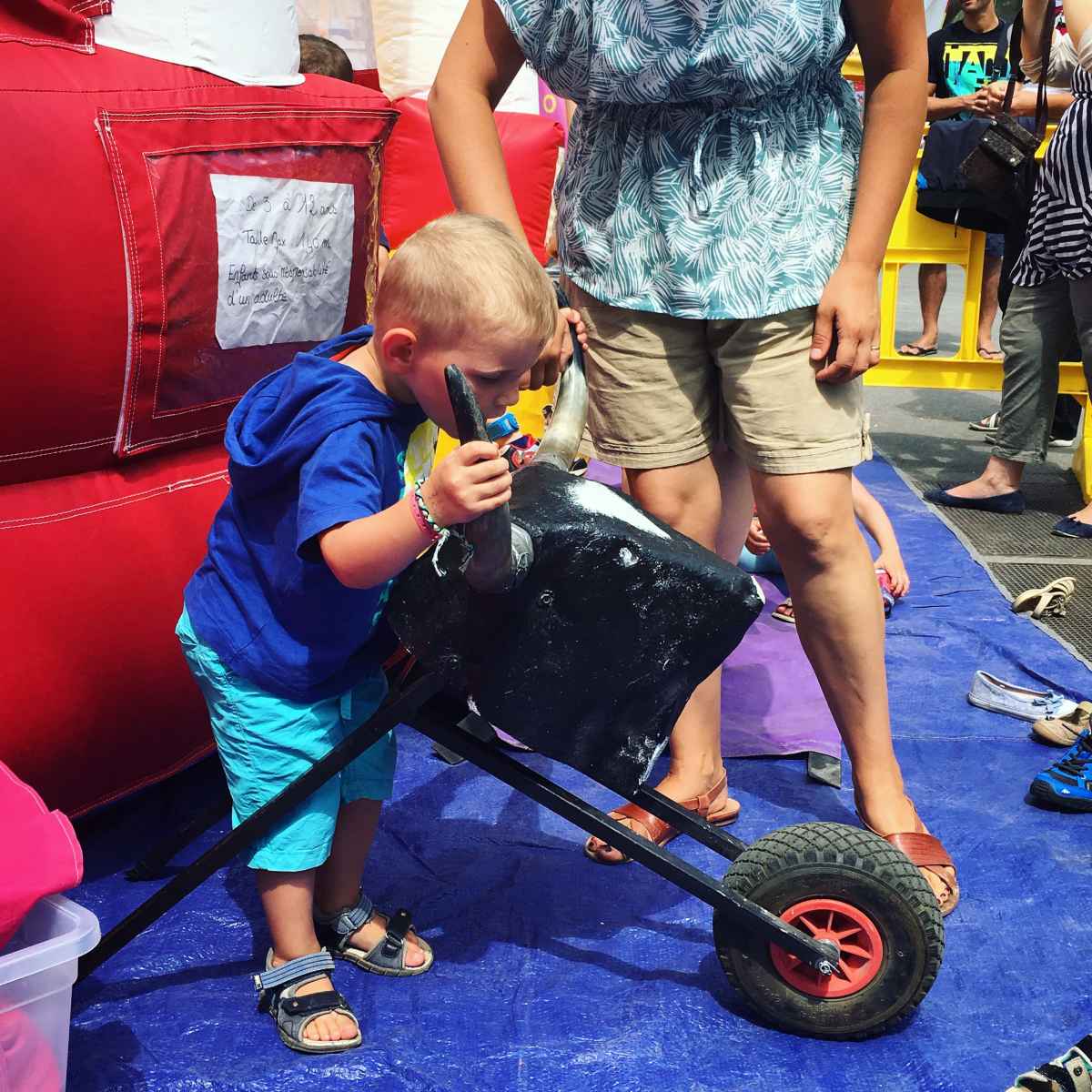 A la découverte du toro