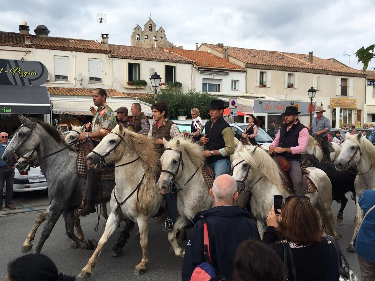 Abrivado des toreros avec Castella