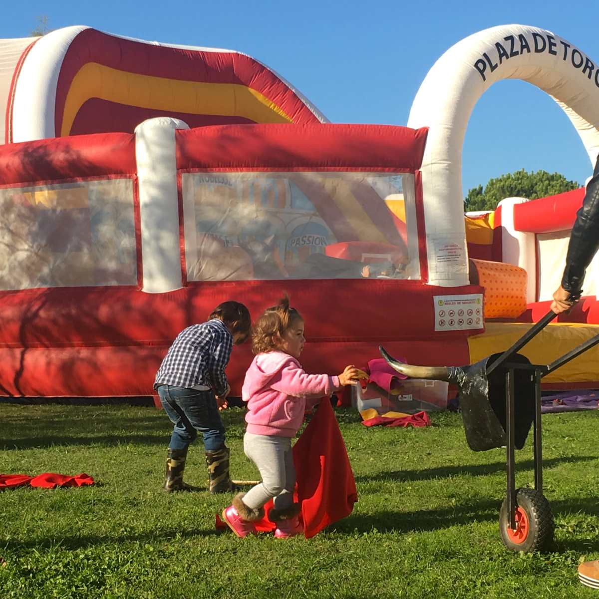 Fascination pour le toro