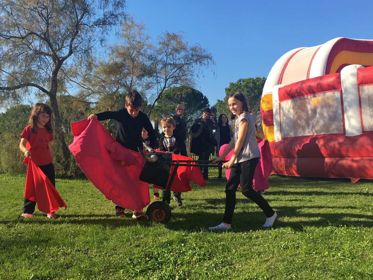 Transmission de la culture taurine